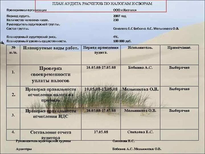 Пример контрольных налогов. План аудита. Программа аудита пример. План аудита пример. План налогового аудита.