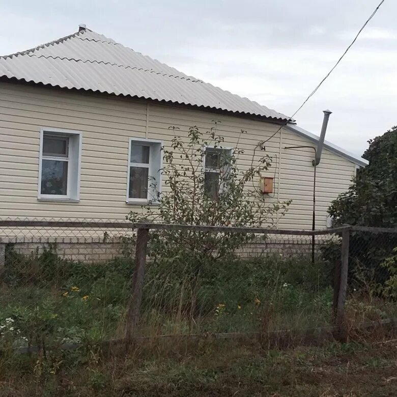 Рудня ильмень. Погода в ильмене руднянского. Хутор ильмень суворовский волгоградская область. П рудня волгоградская область. Рудня волгоградская область.