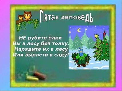 Не рубите елочку в лесу