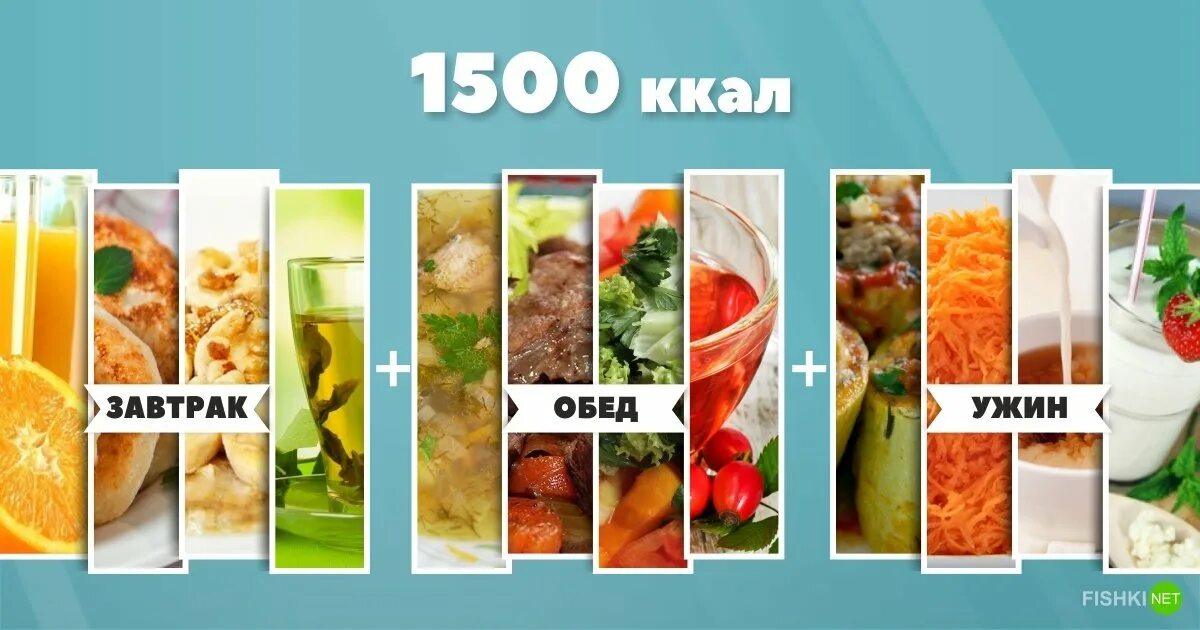 1500 Ккал. 1500 Ккал в день меню. Как выглядит 1500 калорий в день. Рацион на 1500 калорий в день.