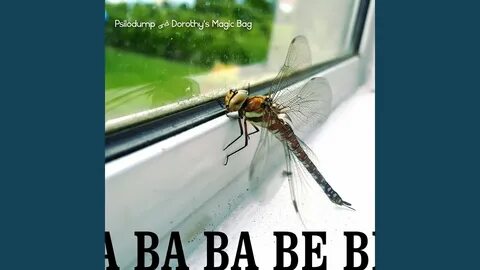 Ba ba la