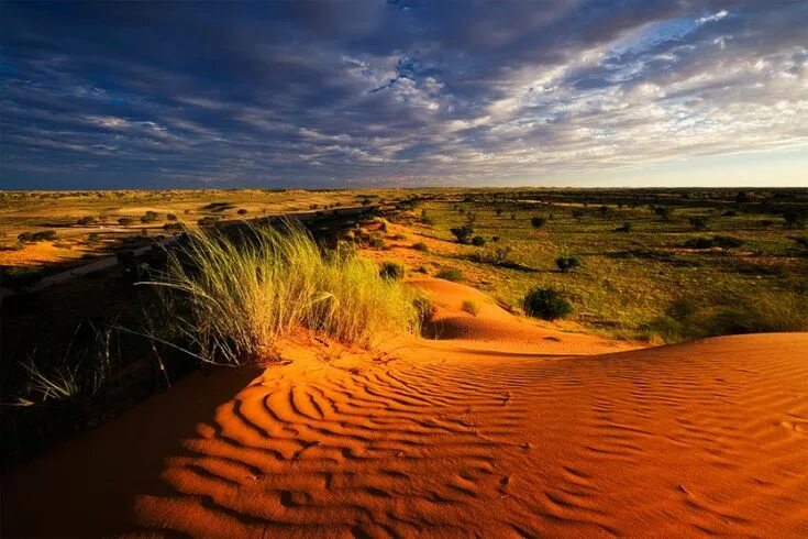 Как выглядит африка 2025 14-Day Luxury Safari Itinerary In African Savannah The Luxe Insider