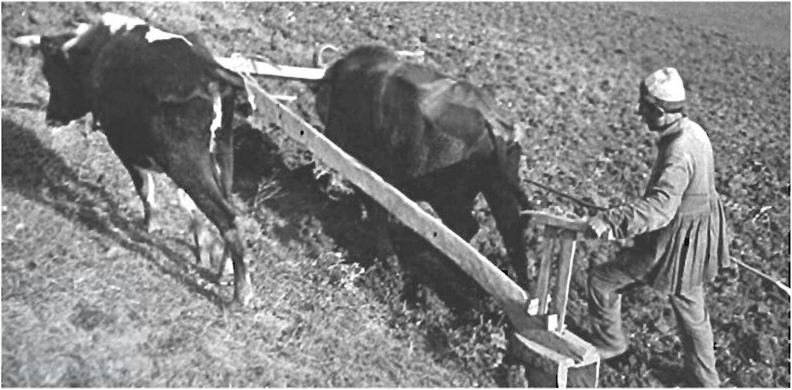 Ткачевы. Принял с сохой а оставил с атомной бомбой. Сельское хозяйство на руси. Человек с плугом. Елена врангель художник.