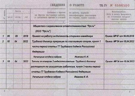 Трудовая книжка ошибка в номере записи