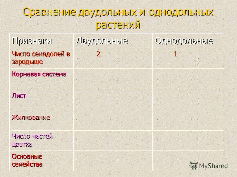 отличия однодольных и двудольных растений таблица. однодольные и двудольные растения таблица 7 класс. число семядолей в зародыше семени. класс однодольные растения. количество семядолей у однодольных растений.