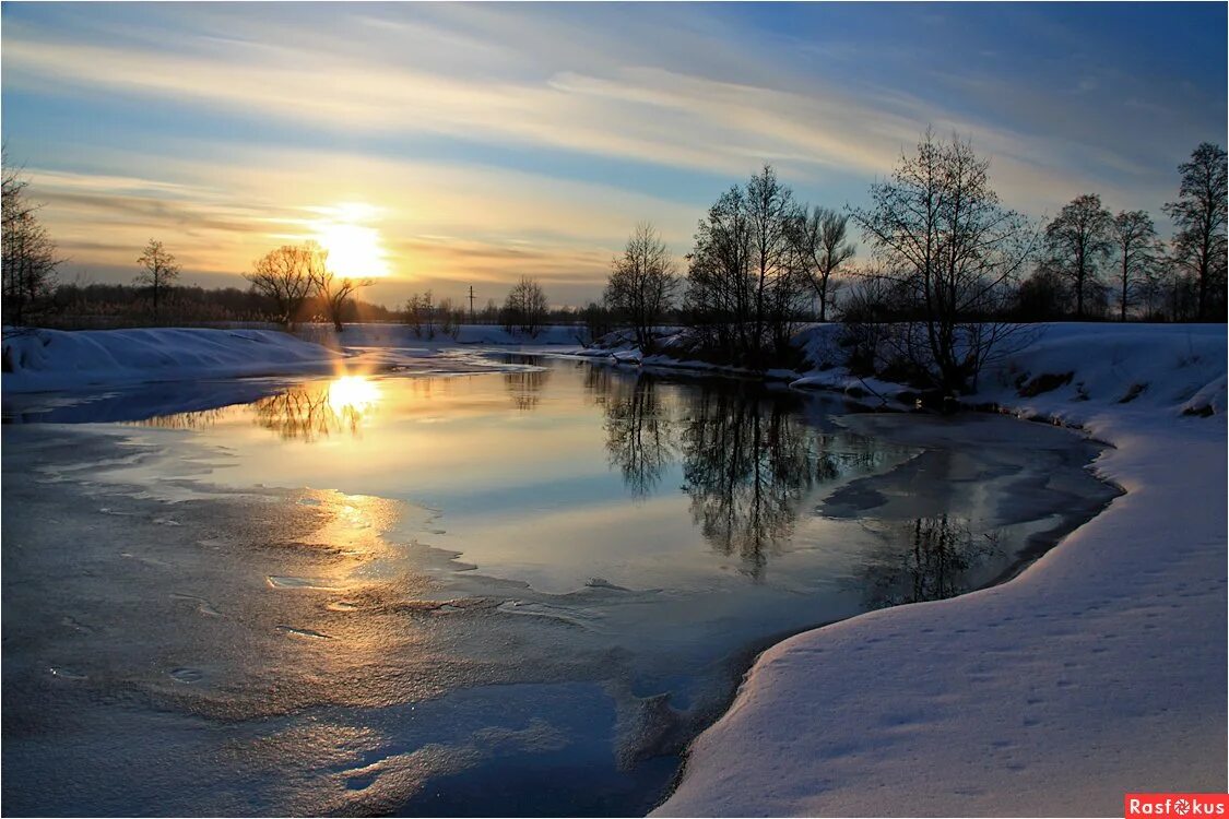 вечерние весенние цветы.