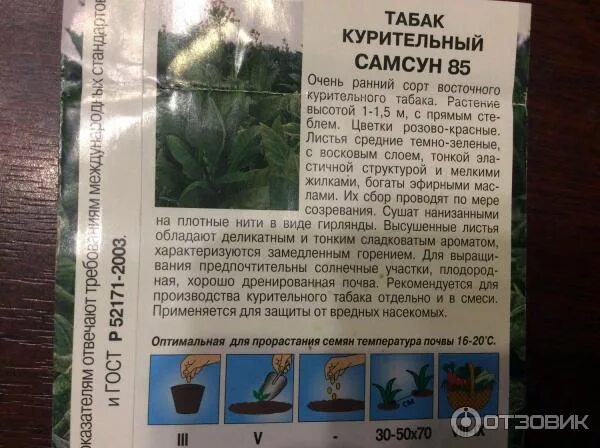 Табака низшего сорта 5. Сорт табака самсун 85.