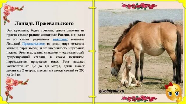 Проект про лошадей 2 класс Мир лошадей проект