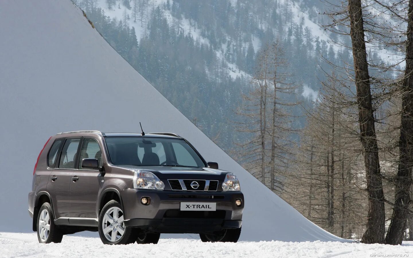 Ниссан икстрейл т31. Nissan x-trail t31. Ниссан х-трейл т31. Ниссан икстрейл т31 рестайлинг. Ниссан x трейл т 31.