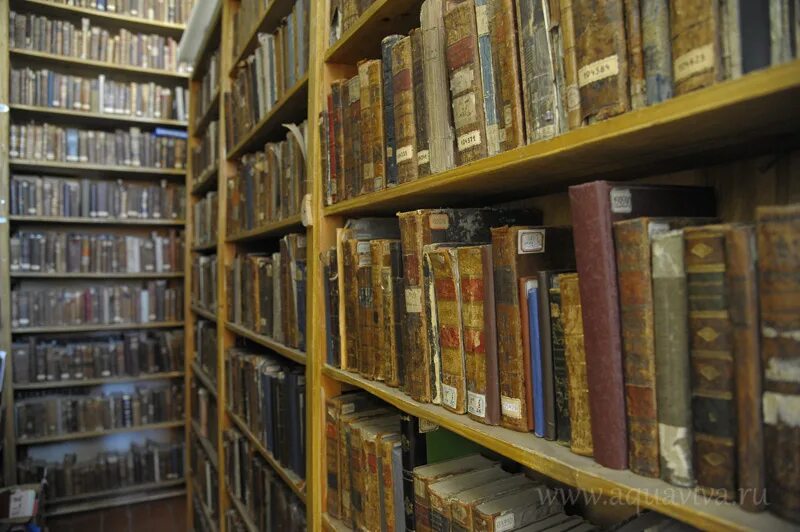 Православная выставка в библиотеке. Православные книги со словом цветник. Литература. Православная библиотека при храме. Библиотека в храме.