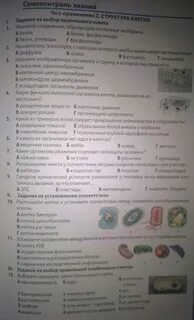 Организм единое целое 5 класс биология ответы