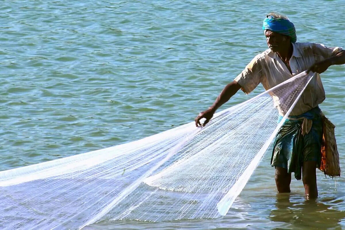 Fishing net перевод. Рыболовная сеть. Рыболовная сеть мешок. Fishing net. The Fishermen.