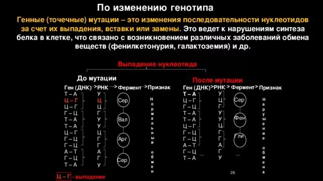 Мутации по генотипу. Типы генных мутаций. Мутации с изменением последовательности нуклеотидов:. Генные мутации это изменение. Генная мутация изменения нуклеотидов.