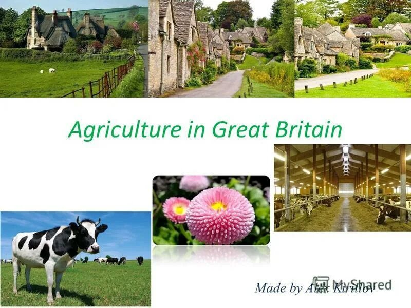 In great detail. Сельское хозяйство Великобритании. Agriculture in great Britain. Сельское хозяйство Великобритании кратко. Земледелие в Британии.