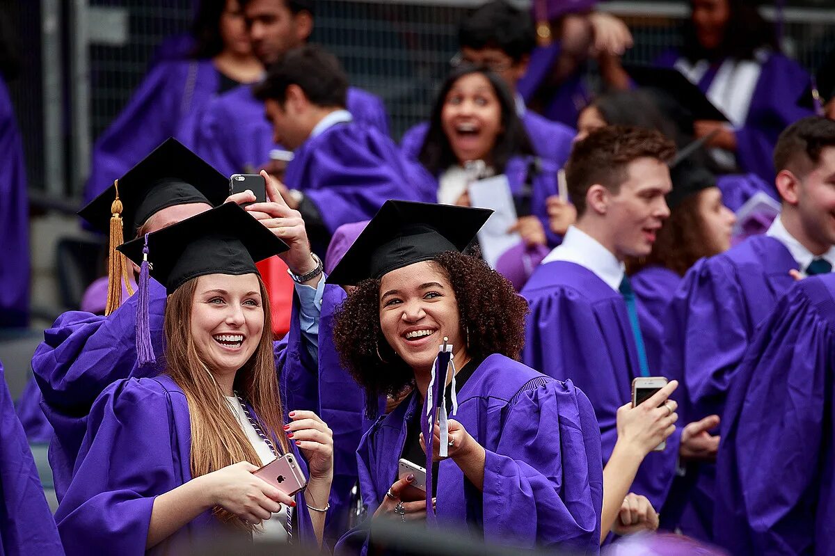 Университет студенты. Студенты в Нью Йорке. Студенты фиолетовый.