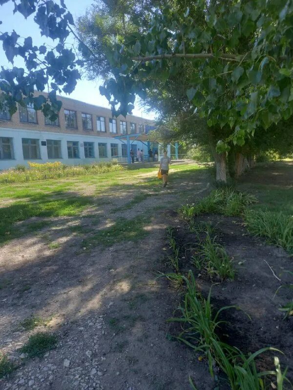 Школа р 19. Детский садик улица гродненская 7. Школы в поддержку солдат. Школа р 19. Средняя школа р.