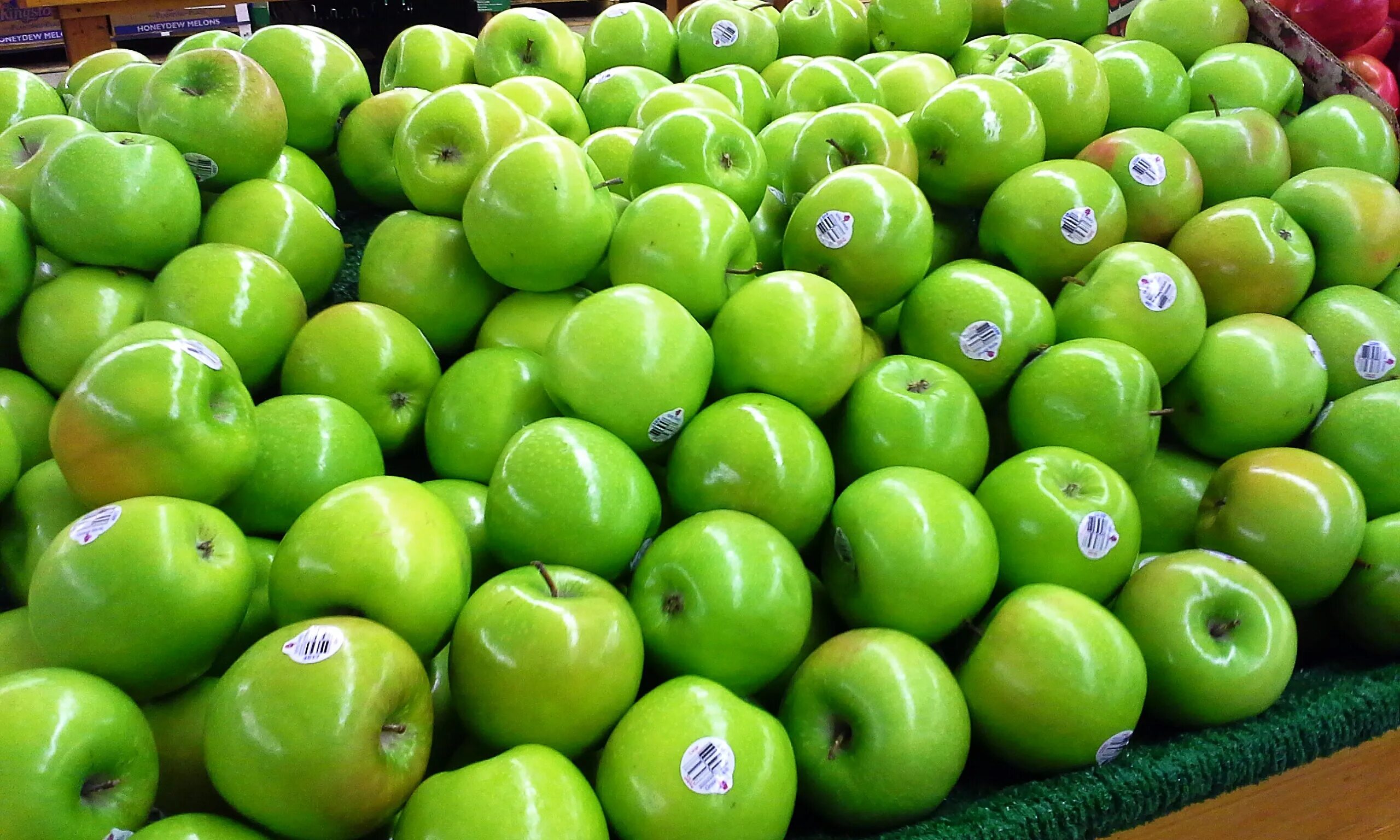 Воруют яблоки в саду. Яблоня гренни смит (2 года). Плодовый сад. My grandma apple trees. Сорт яблок гренни смит.