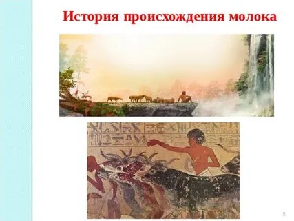 Происхождение молока