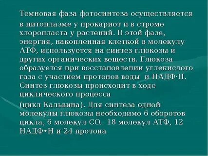 Какие процессы происходят в темновую