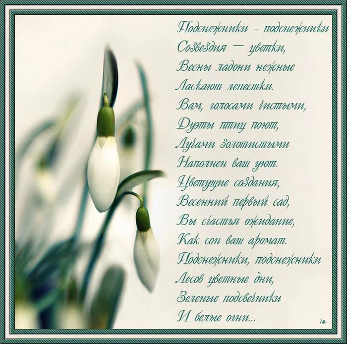 Стих про весну. Стихотворение о весне. Стих про Подснежник. Стихи о весне красивые.