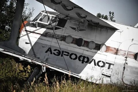Омск новосибирск аэропорт