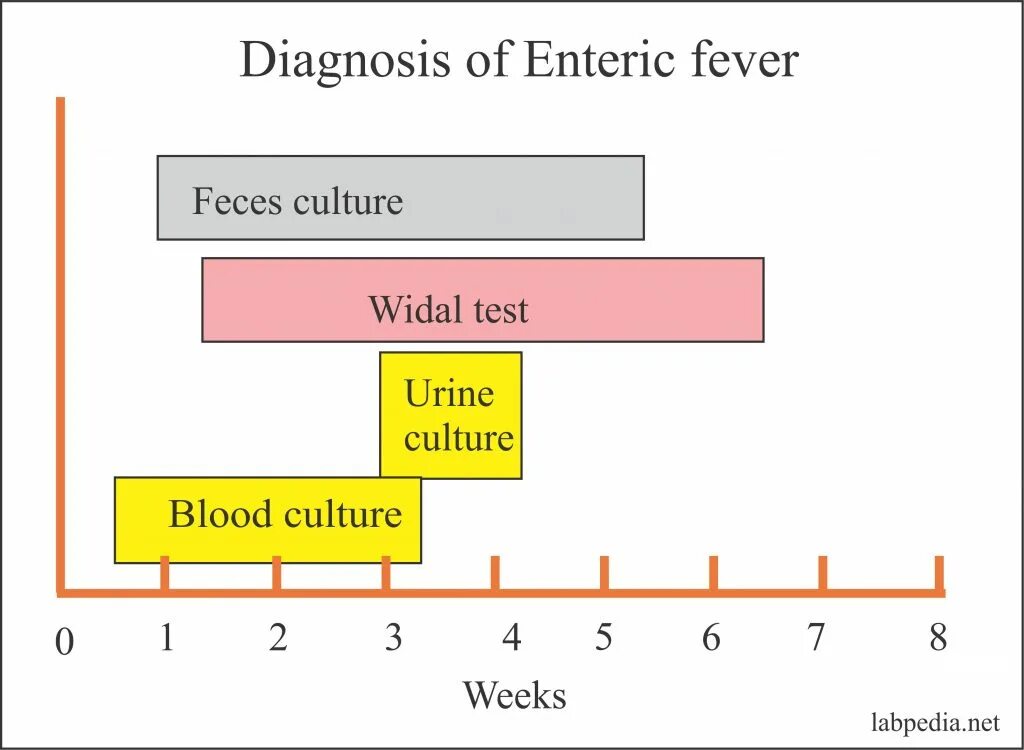 Diagnostic test is. Widal test. urine culture test. enteric. diagnostic test.