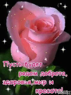 Пусть будет мир и здоровье