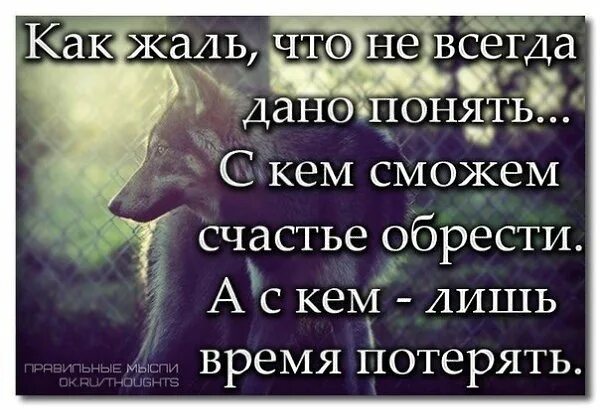 Всегда поймешь