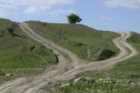 Дорога грина
