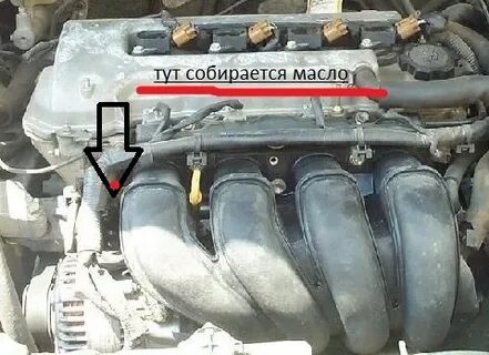 Двигатель 1zz масло