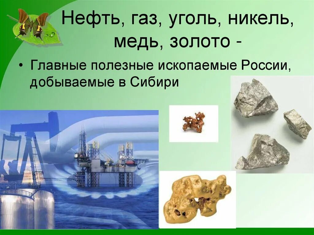 Россия богата нефтью и газом. Полезные ископаемые Росси. Полезные ископаемые добываемые в России. Какие полезные ископаемые добывают в России. Полезные ископапаемые Росс.