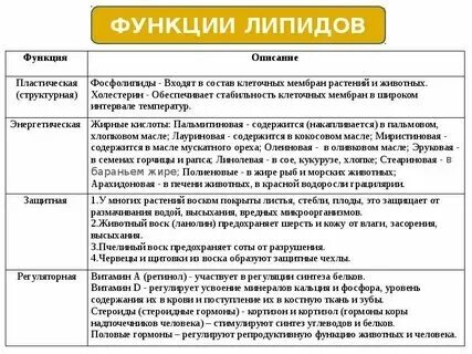 Биология 9 класс углеводы и липиды