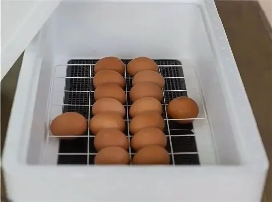Инкубатор несушка 36 яиц с автоматическим. Инкубатор Несушка на 36 яиц инструкция.