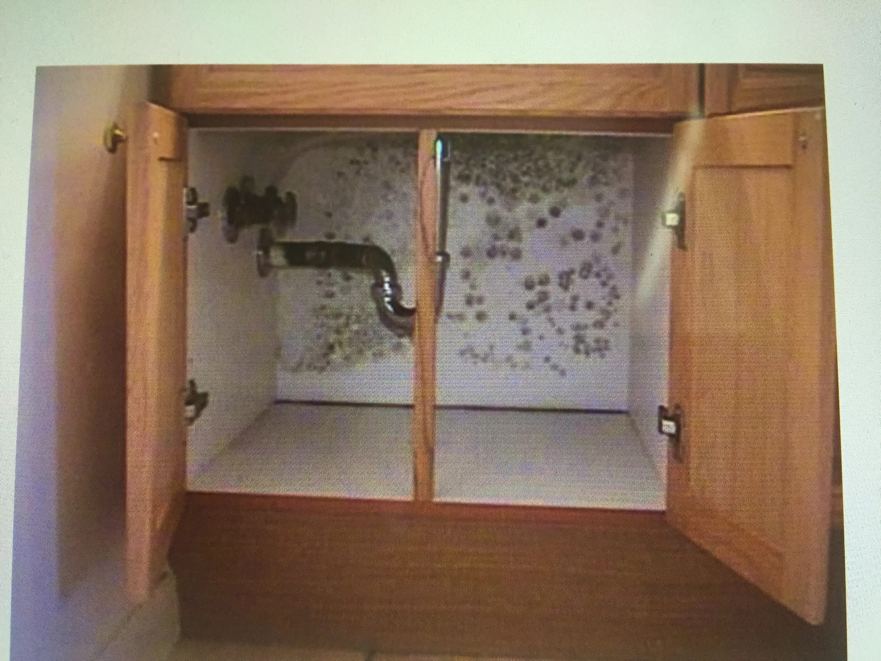 Грибок в шкафу. Плесень на стене за шкафом. Плесень в шкафу. Плесень в шкафу с одеждой. Плесень на кухонном гарнитуре.