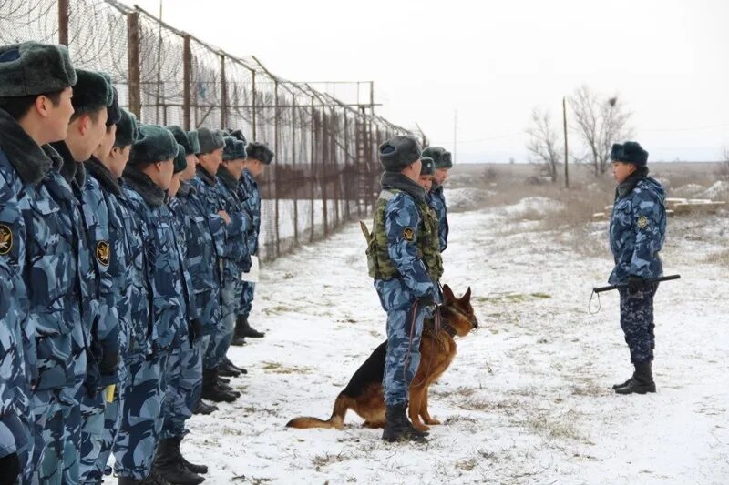 бутырская тюрьма фсин. сизо и тюрьмы фсин россии. инспектор отдела охраны сизо. охрана следственного изолятора. элиста исправительная колония 1.