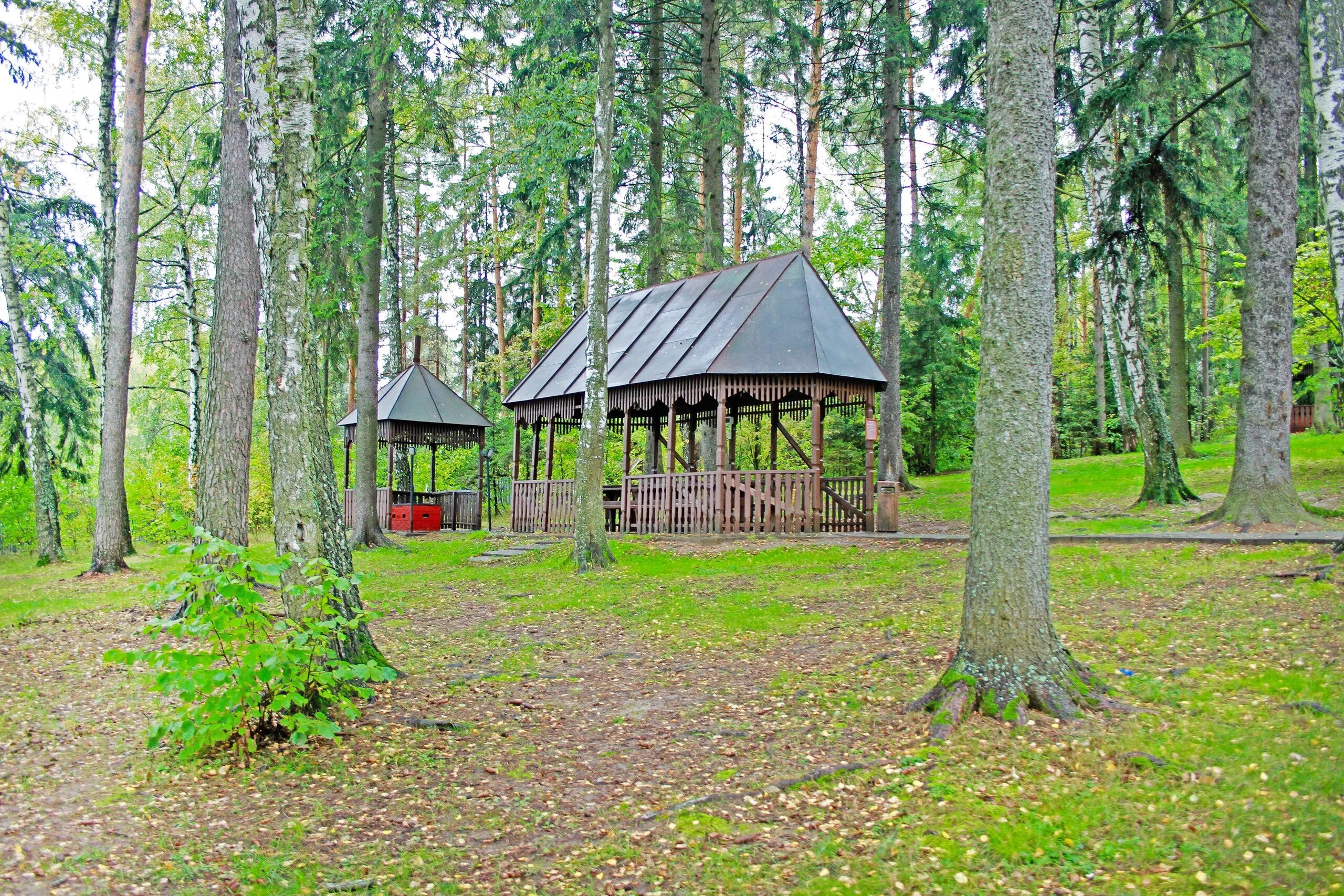 истринское водохранилище отель яхонты. яхонты истра пляж. яхонты истра подмосковье. авантель клаб истра пляж. яхонты истра парк отель.