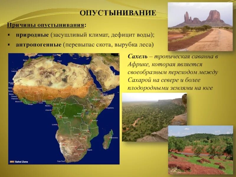 Причины опустынивания почв. Опустынивание и деградация почвы. Опустынивание это кратко. Основные причины опустынивания почв. Причины опустынивания почв.