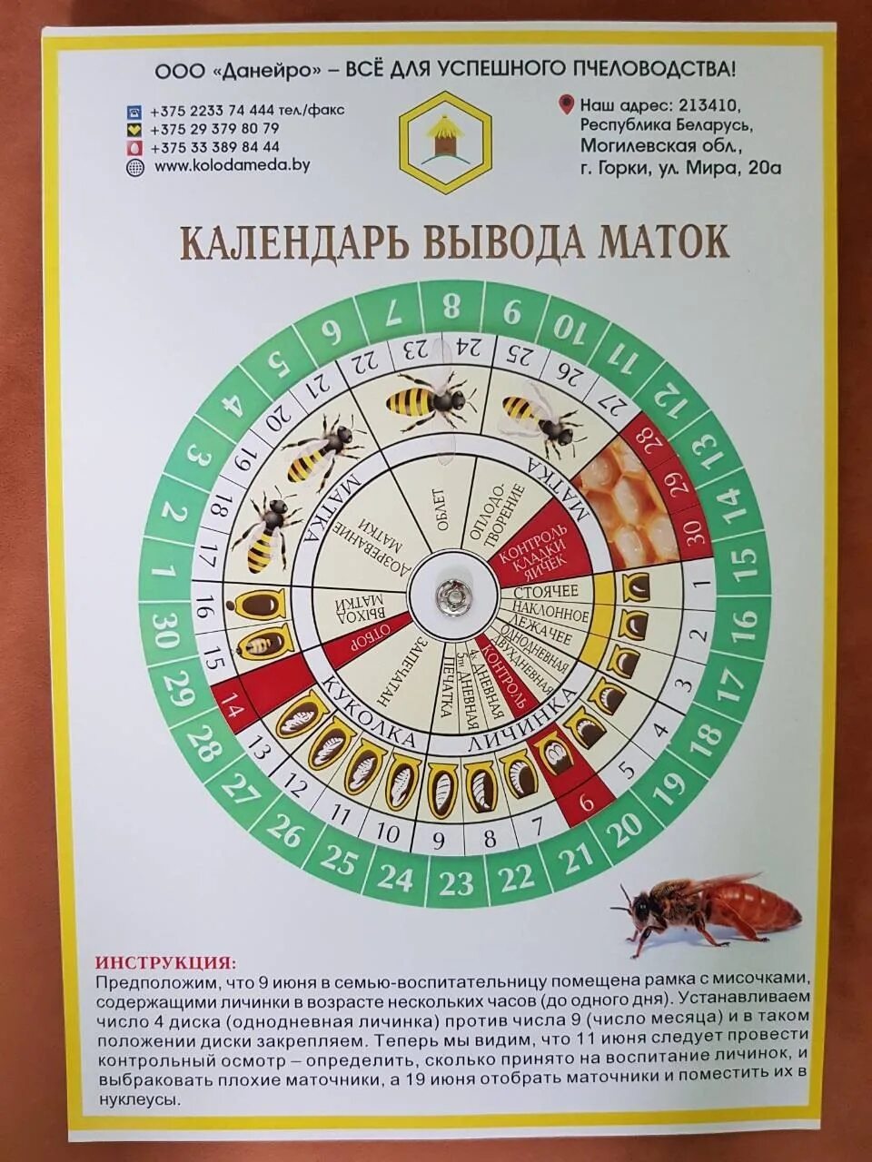 Календарь вывода пчелиных маток. Календарь пчелиной матки. Календарь пчелиной матки. Календарь выхода маток пчелиных. Календарь для пчеловода.
