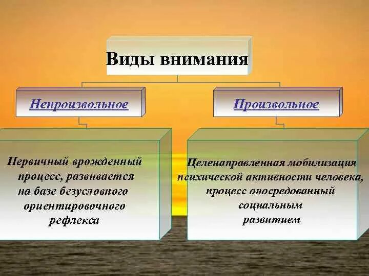 Произвольное внимание это в психологии - 19/48