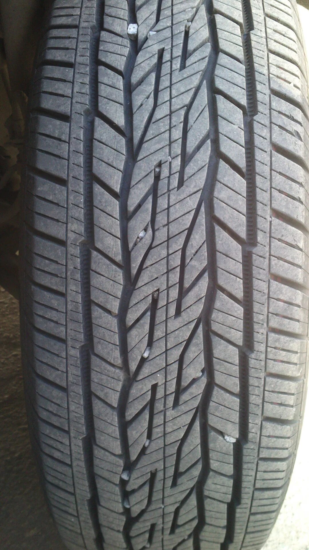 Continental conticrosscontact lx2. Шины continental conticrosscontact lx2. Continental crosscontact lx2 215/60 r17. Conticrosscontact lx2. Continental conticrosscontact lx2.