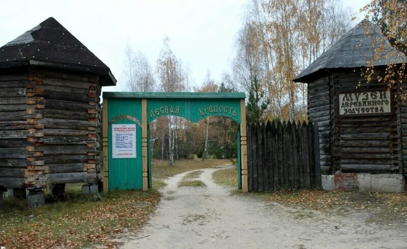 Музей деревянного зодчества спас. Мещерский музей деревянного зодчества. мещерский музей деревянного зодчества рязанская область. музей деревянного зодчества клепиковский район. лесная крепость спас клепики.
