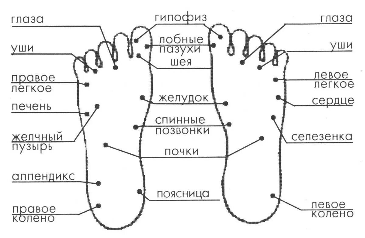 Активные точки на подошве стопы. Активные точки стопы акупунктура. Биологически активные точки на стопе. Точки акупунктура схема ноги. Точки на подошве ног