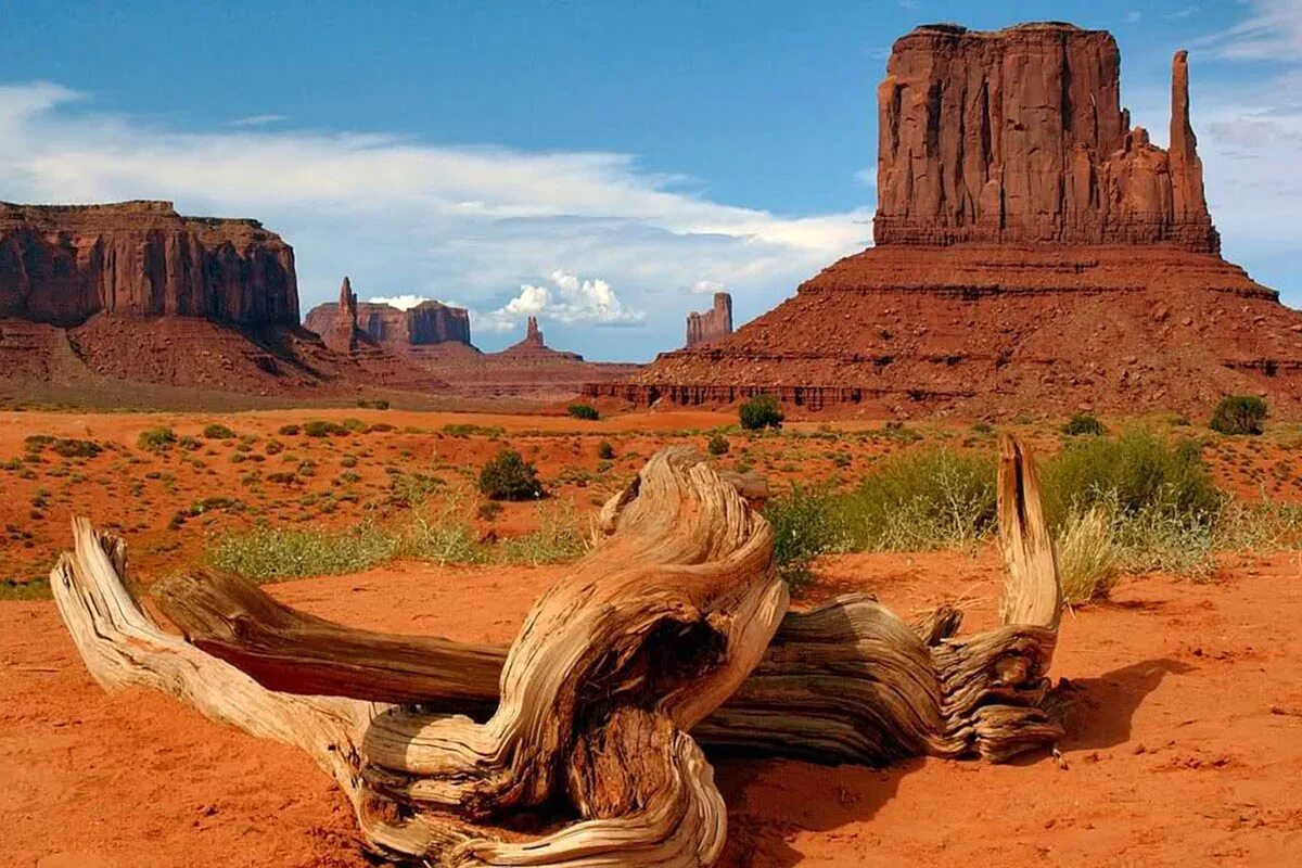 долина монументов (штат аризона). долина монументов, штат юта, сша. штат юта долина монументов. штат юта долина монументов. долина монументов северная америка.