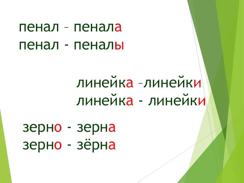 Линейка родственные слова. Пенал родственные слова. Линейка 2 родственных слова. Форма слова линейка.