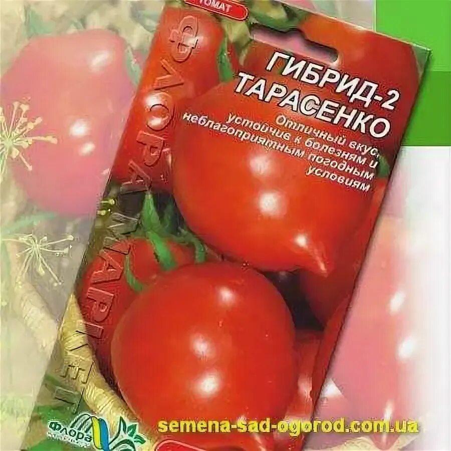 Помидоры Тарасенко 2. Томат гибрид Тарасенко 2. Томат гибрид Тарасенко 3. Гибрид тарасенко 2