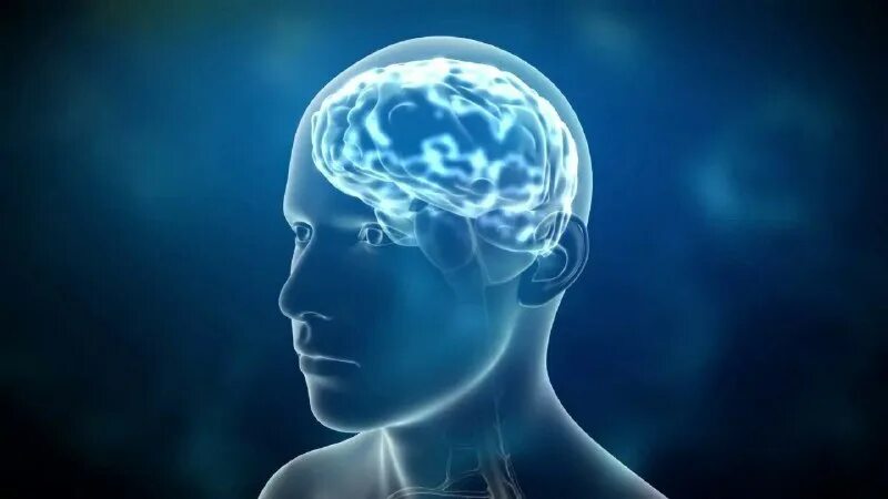 чип в мозг. мозг и память человека. объем человеческой памяти в гб. нлп картинки красивые. память человека в терабайтах.