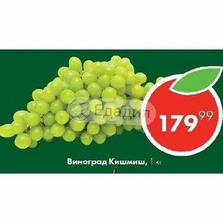 Кишмиш 5 букв сканворд