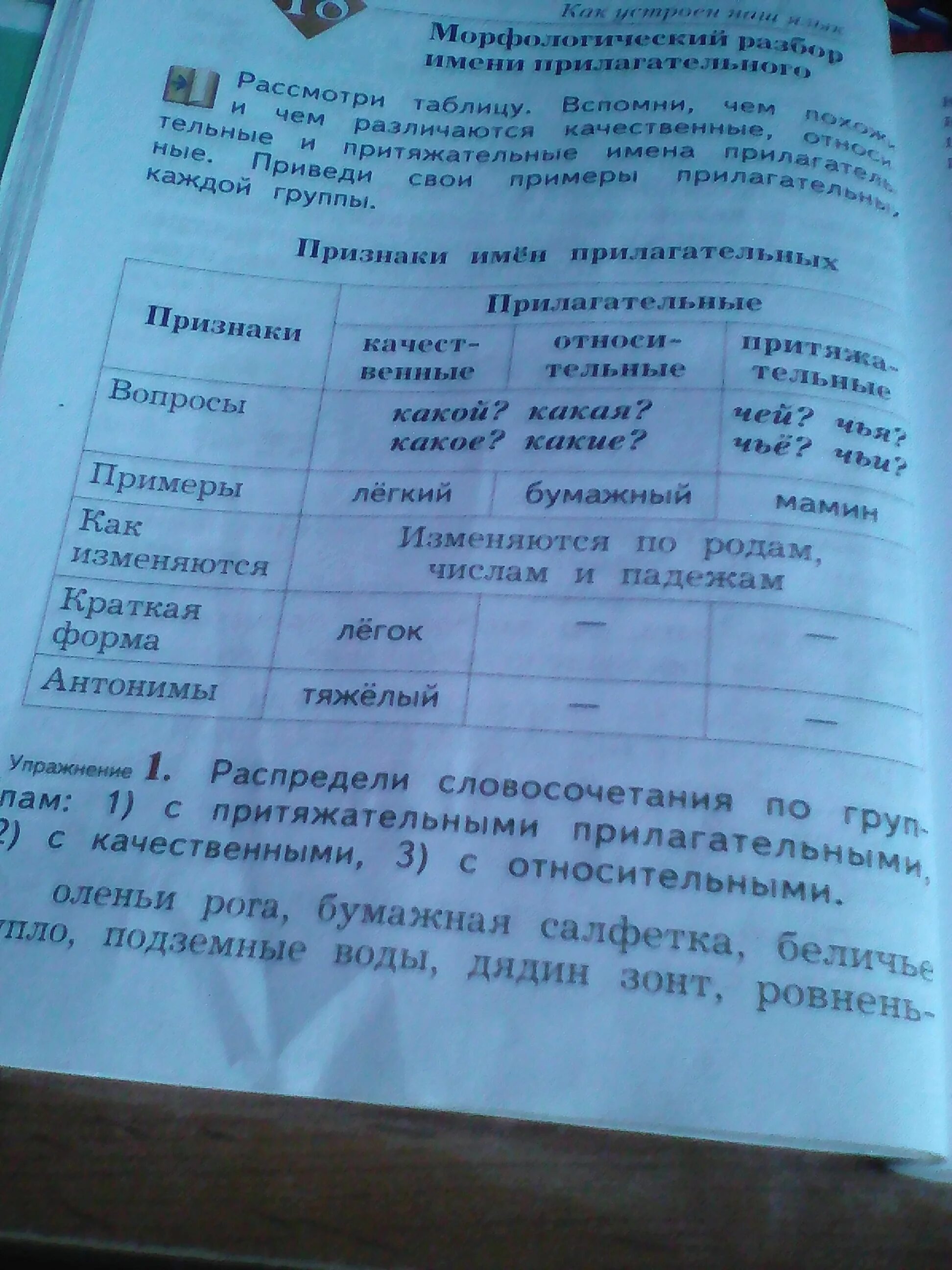 Распределите словосочетания по 3 группам. Словосочетание по группам с притяжательными прилагательными. Распредели словосочетания. Распредели словосочетания по группам. Распределите слово сочетаняпо группам притяжатель.