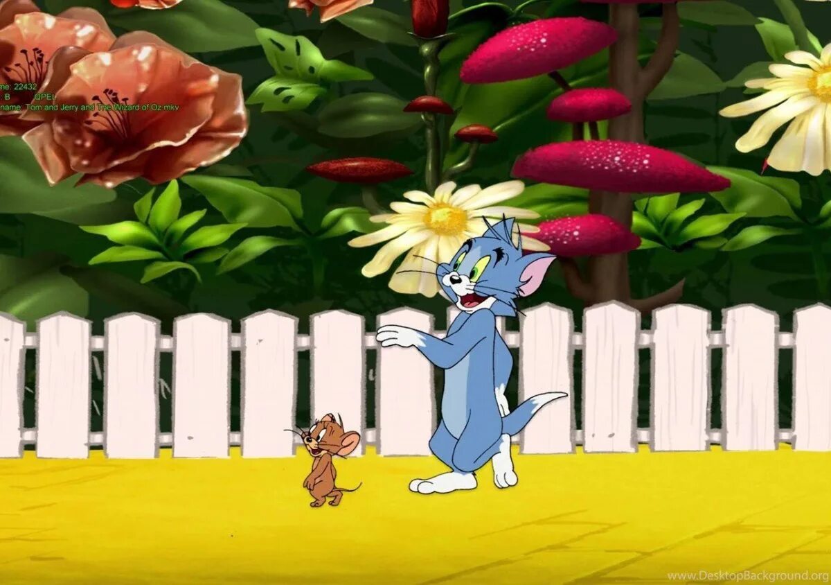 Том и джерри. Том и джерри нацисты. Том (персонаж). Том и джерри 4к. Фон тома.