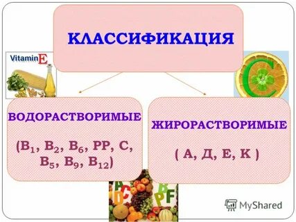 Водо и жирорастворимые